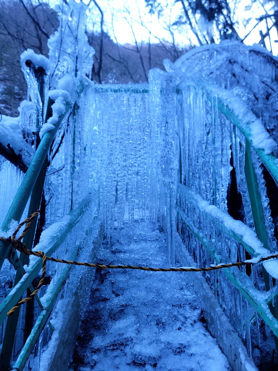 bit-co36916🎆 (@000bit) / Posts / X