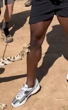 🇦🇱🌸 tweet media