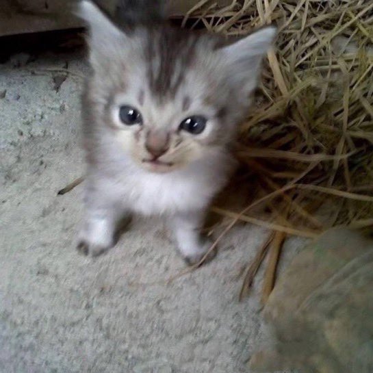 team_nd2's tweet image. 