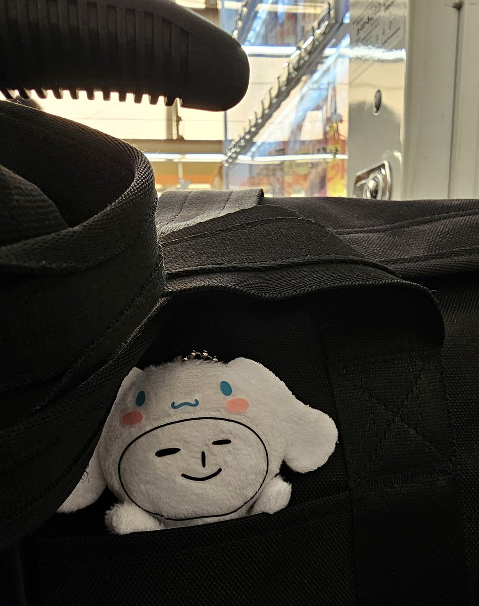 Les derniers cheesecakes avant de pratir, nawww... (ಥ﹏ಥ)