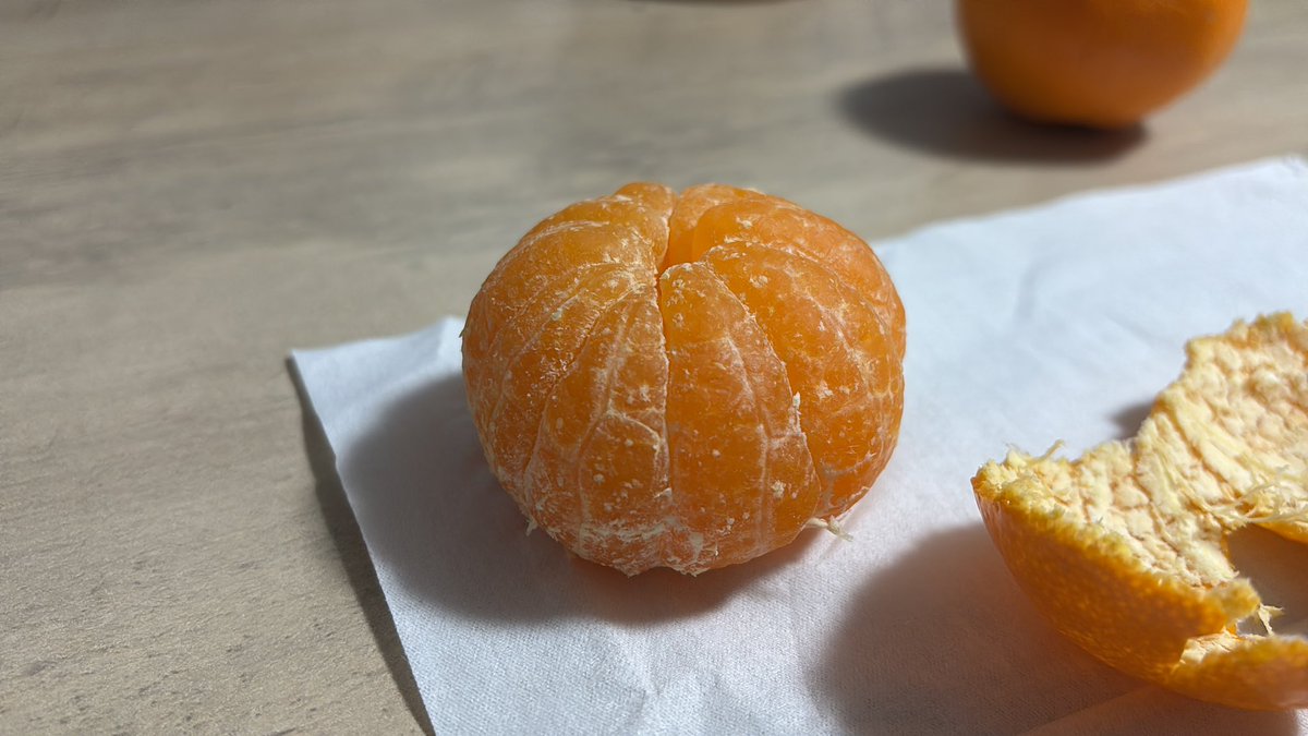 もろた( ᐛ )ﾍﾍｯ