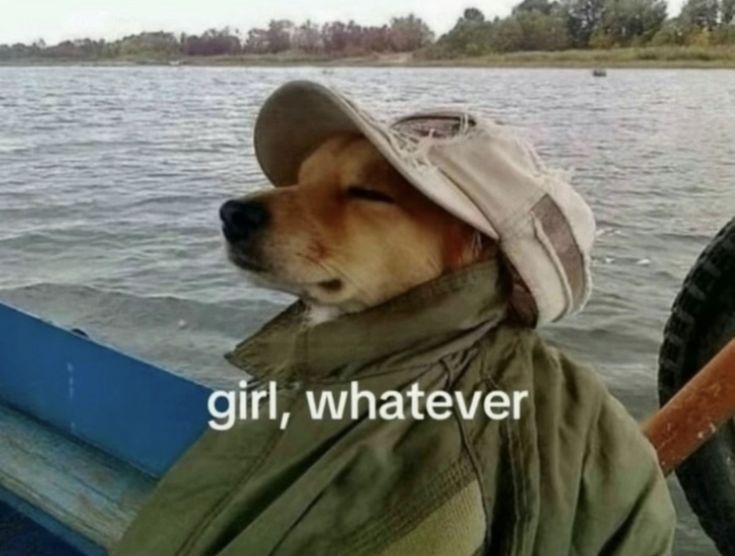 caninepoetry_'s tweet image. 