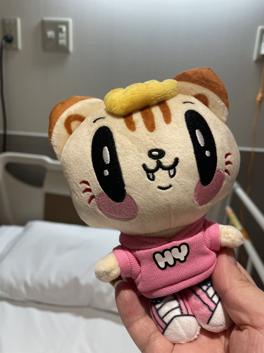 入院のお供にジェ猫連れてきたよ。 明後日の手術成功しますように