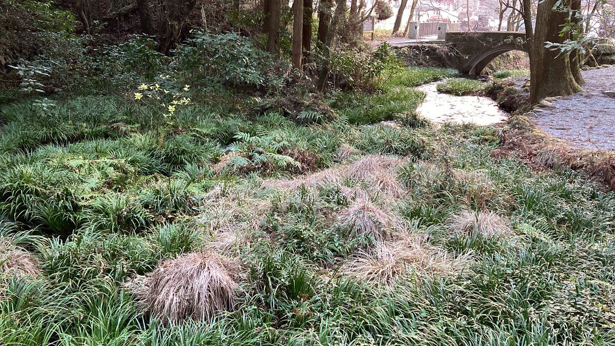 池山水源が美しい！