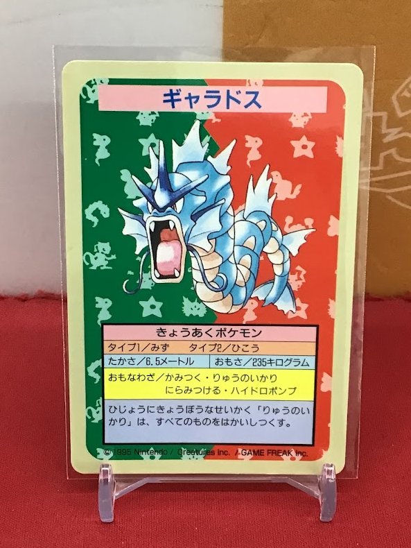 🐱【ポケモンカード】商品情報🐱 『ギャラドス』トップサン 裏面青