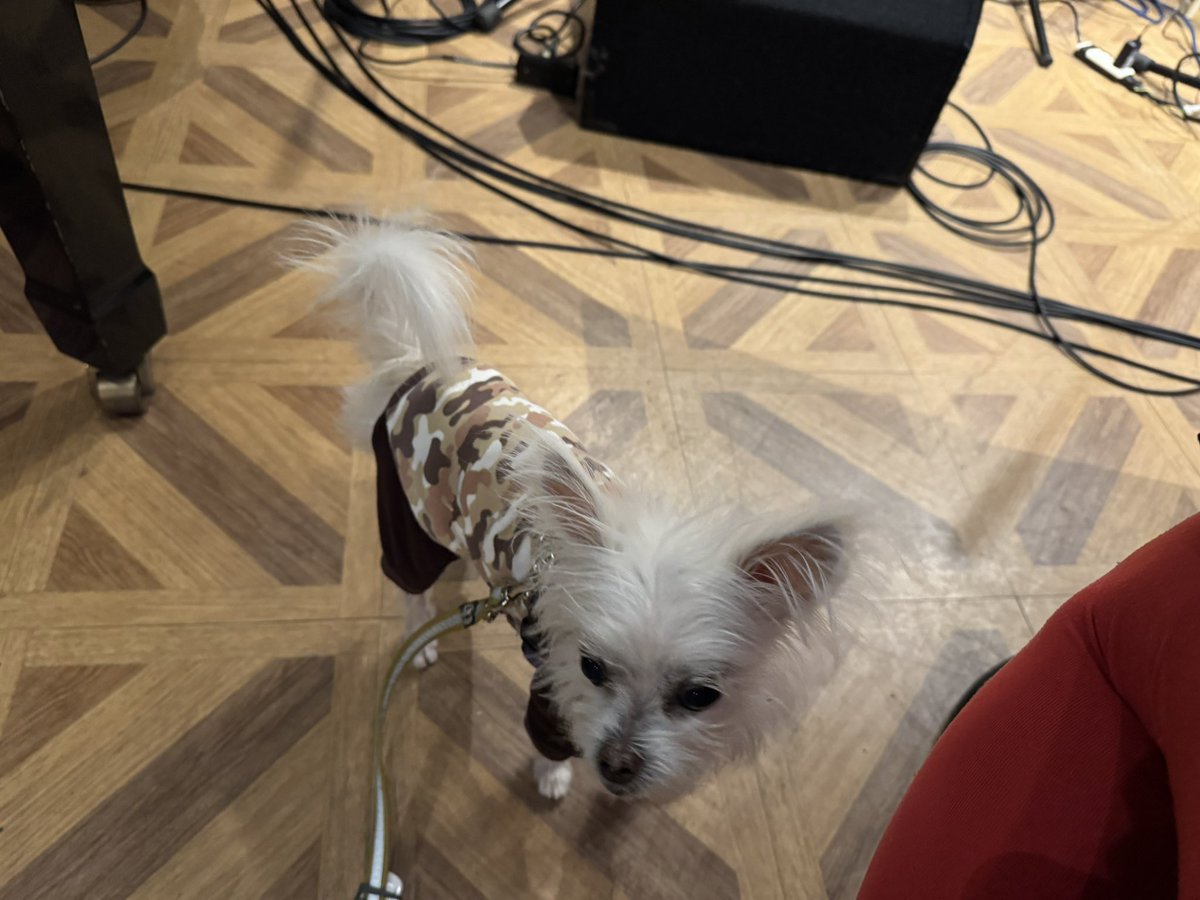 今年初めてのリハーサル
(今日はなんだってハジメテモード)
19:00からFJ‘sで待ってるよ

metrotron-records.com/04jan2026/