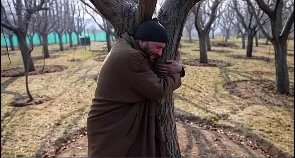 and__umair's tweet photo. Coming from South Kashmir &amp; having seen this all my life, I know what planting an apple tree truly means to a grower.

It is not just agriculture.
It is parenthood.

A sapling is raised the way a child is raised, with years of care, patience, worry, sacrifice, prayers &amp; hope. https://t.co/2OyLRWuVnb