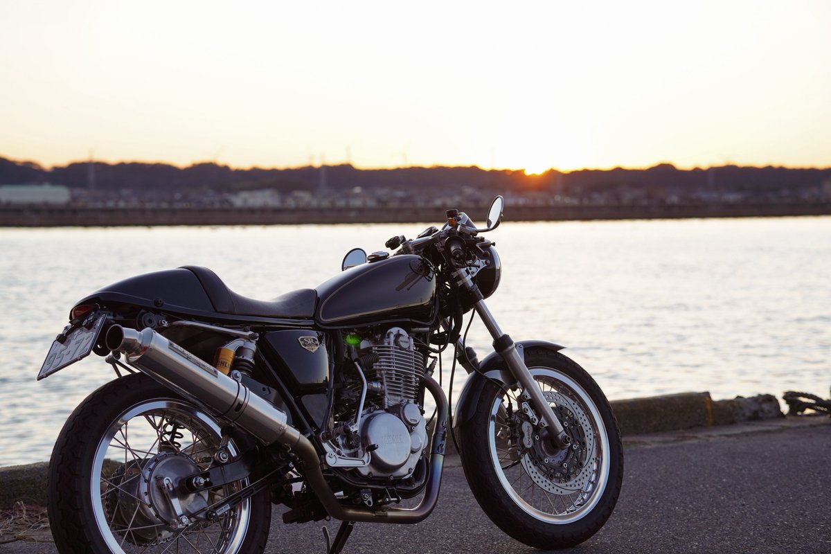 帰ってきて初散歩。