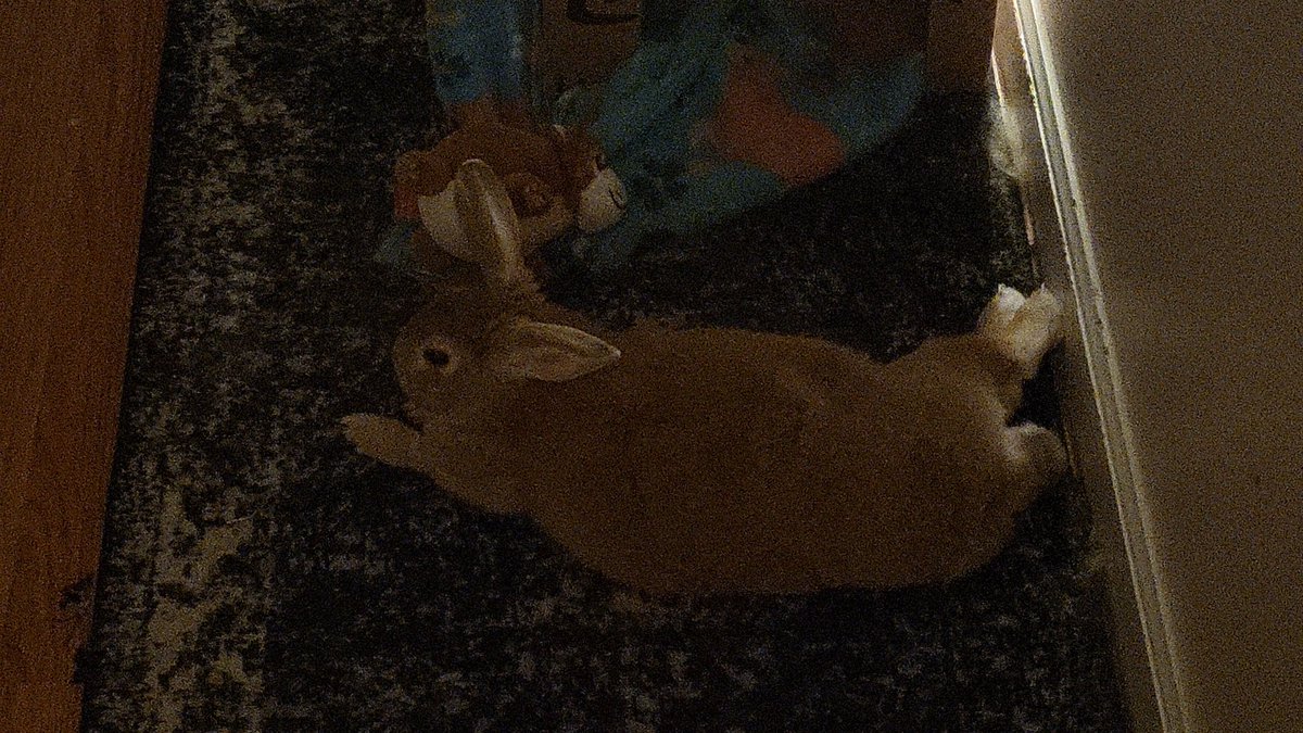 leightism's tweet image. Belated bday peter @pulsewidth444