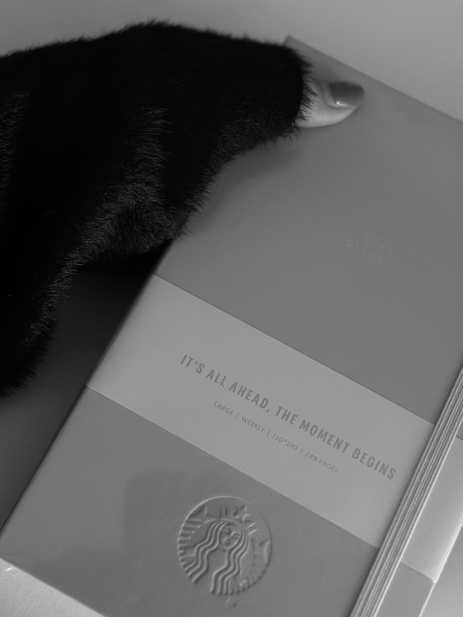 답답함이 싫어 숏만 고집하던 나. 결국 오랜만에 들러 롱패딩을 샀는데, 바뀐 로고의 퍼런 존재감은 선뜻 손이 가지 않을 만큼 컸어.