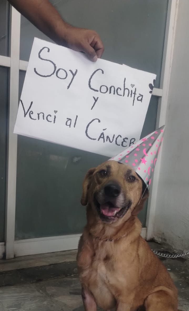 Eres una campeona conchita.🥺