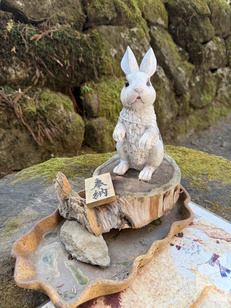 うさぎ好きにはたまらない❣️日光二荒山神社へ初詣。