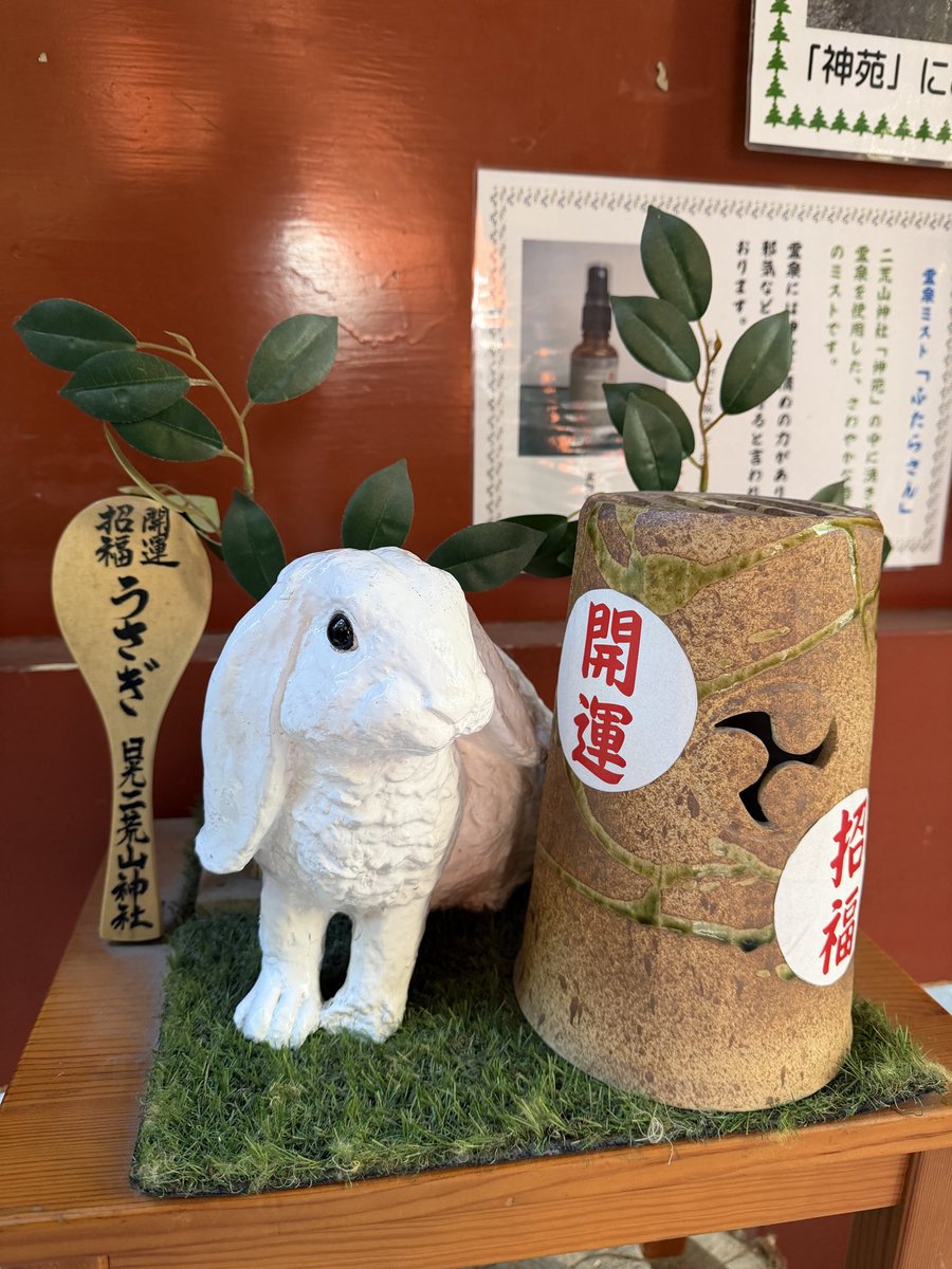 shirasu_jet's tweet photo. うさぎ好きにはたまらない❣️日光二荒山神社へ初詣。 https://t.co/cTQN6n2Edc