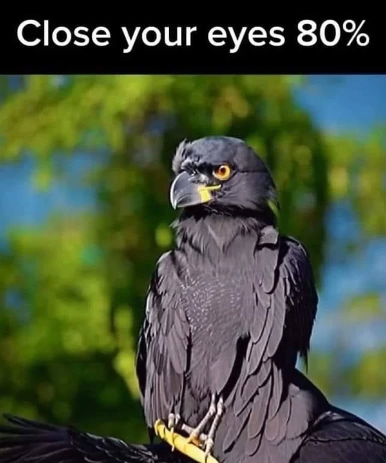 narutoimges's tweet image. 