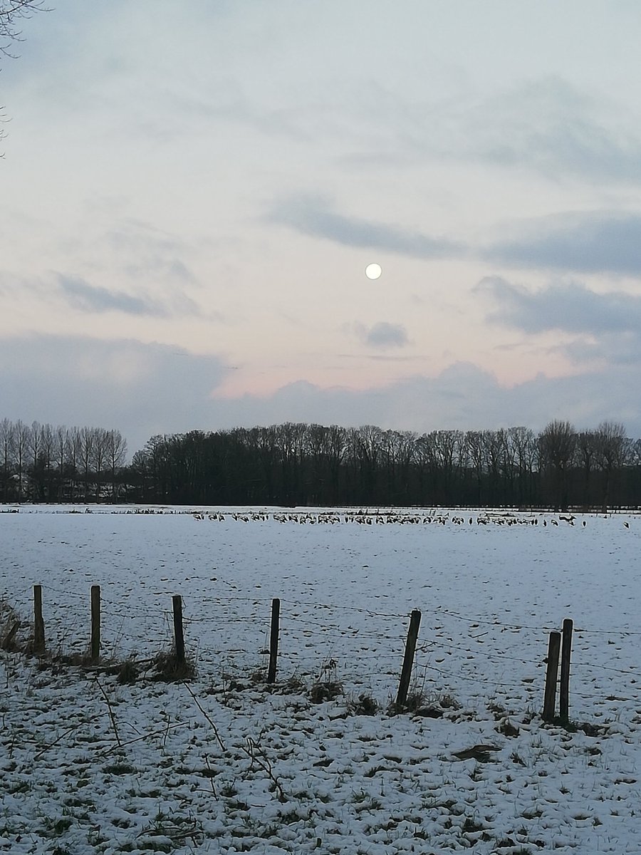 Good morning everyone, in front of the moon 45 storches😁 have a wonderful week and be careful out there! #sundayvibes #Sunday #WinterSeason #WINTER #snow #sneeuw