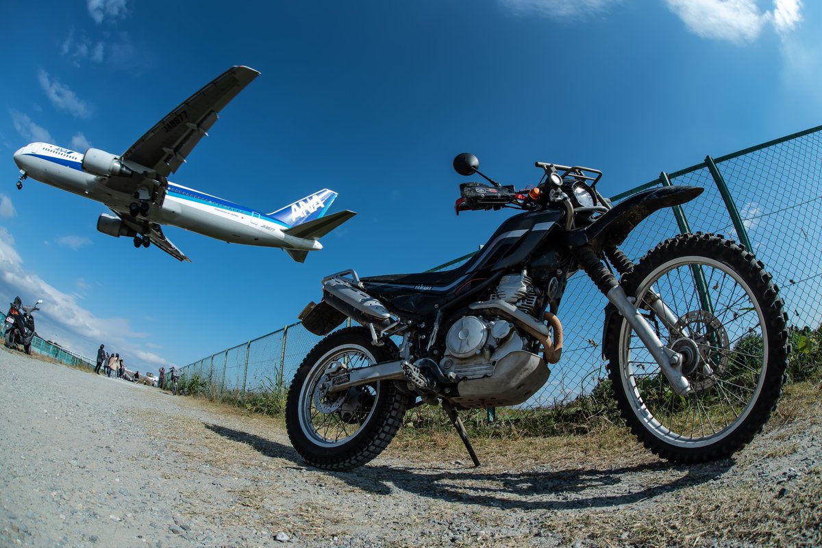 らっきょ (@wildcard_silver) / Posts / X