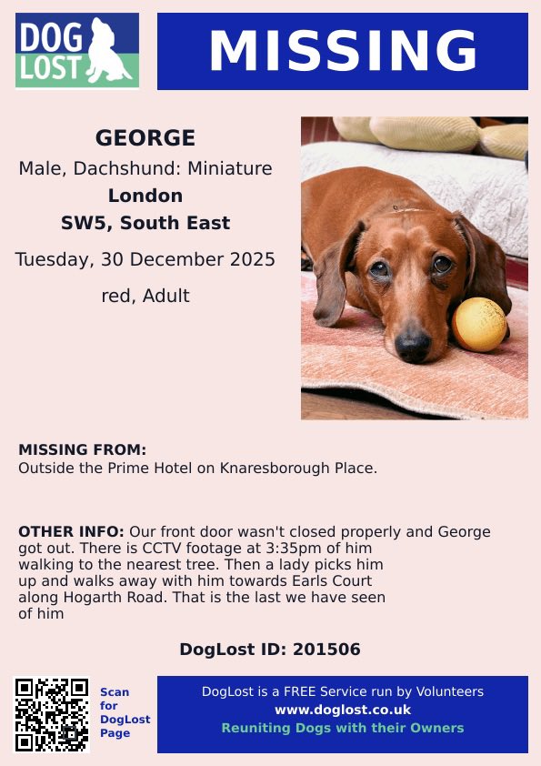 VetsGetScanning's tweet image. Do you know the lady who picked up George? “Our front door wasn’t closed properly and George got out. There is CCTV footage at 3:35pm on Tuesday, 30th December 2025, of him walking to the nearest tree. Then a lady picks him up and walks away with him towards #EarlsCourt, #London…