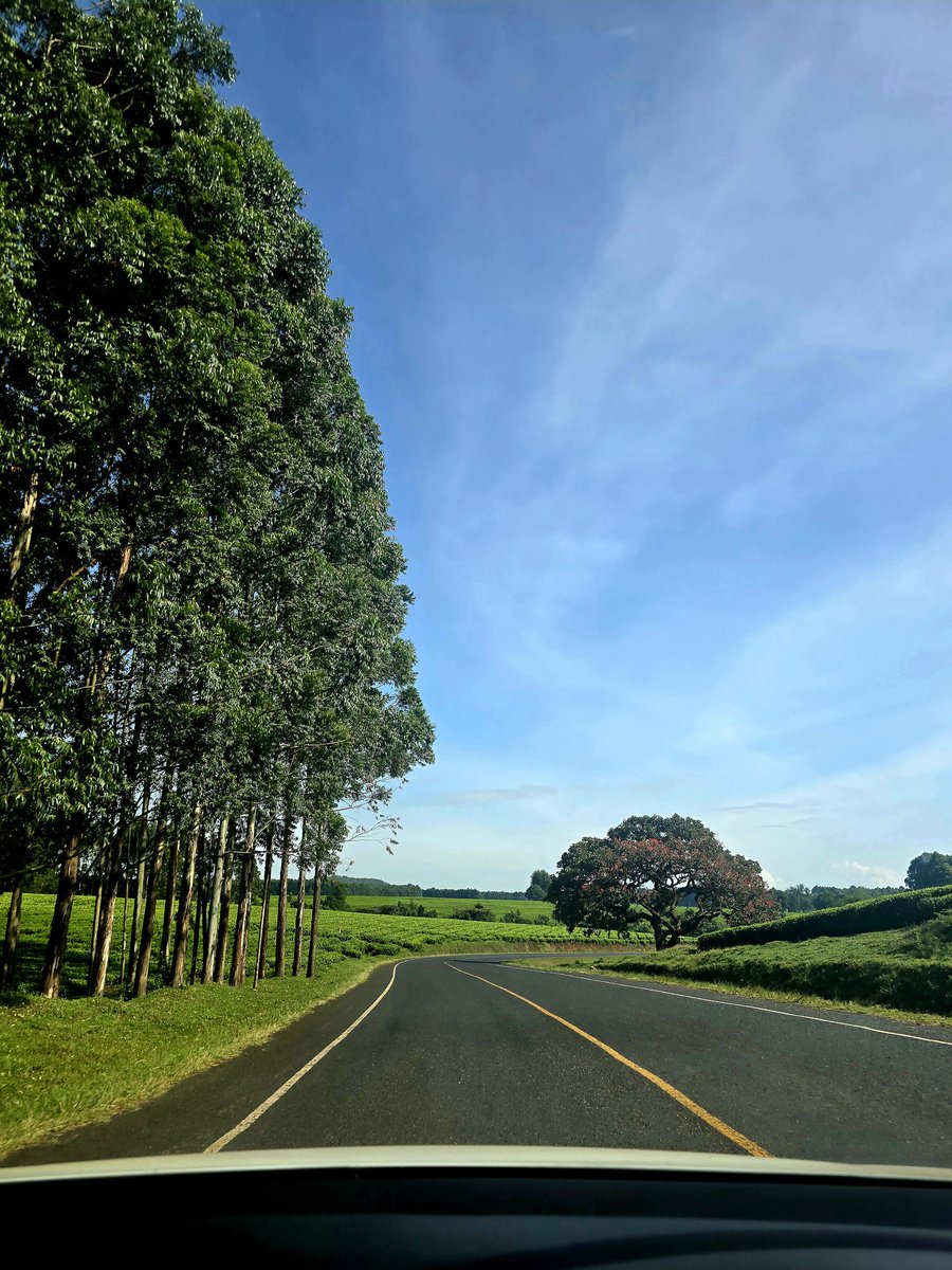 📌 Sotik Highlands