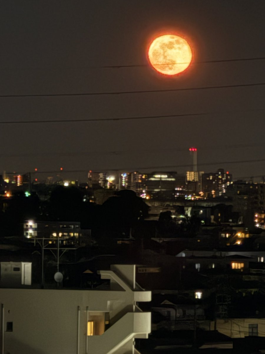 いわしちゃん様♡ありがとうございます♡ Post by いわしちゃん🍻🐟 on X: 月がきれいですね