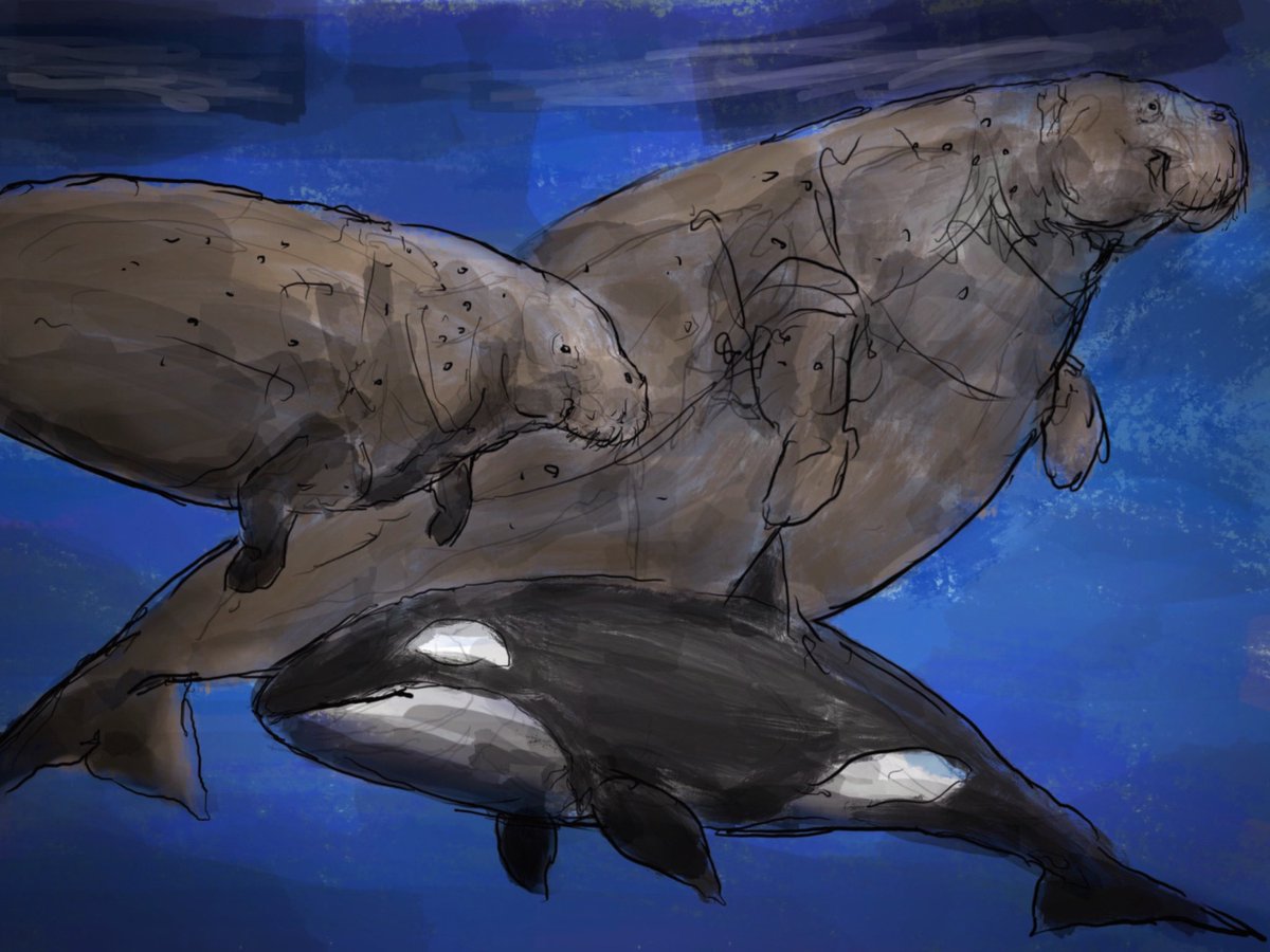 김상진 tweet media