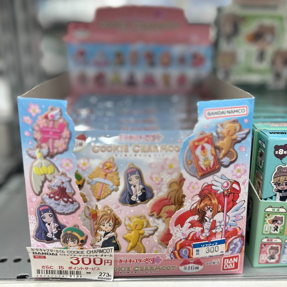 即購入可❣️②1番花 河津桜✨キラキラcharm 河津桜 お花見バスツアー2026 | vipツアー(viptour)