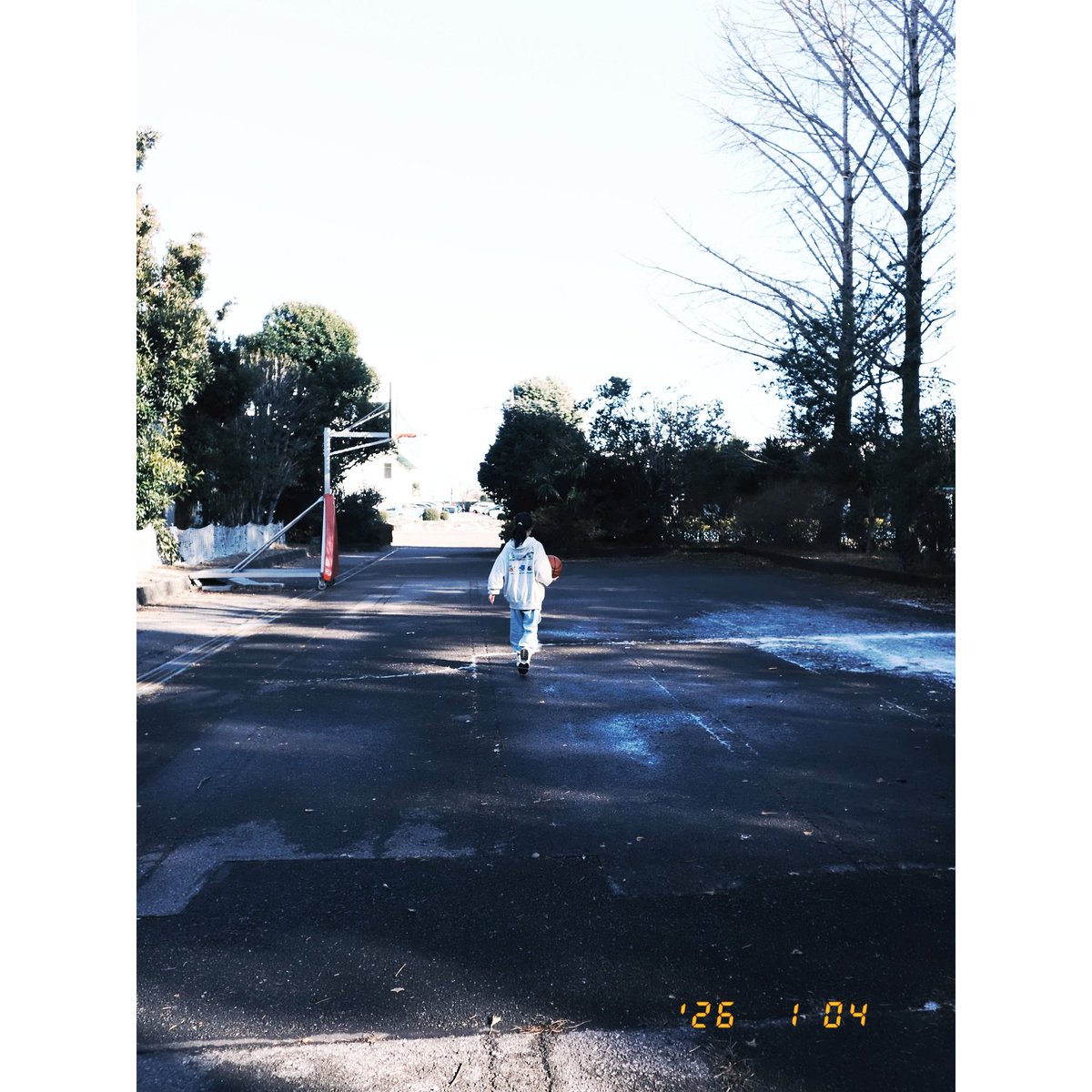 冬休みにブックオフ通いまくってアオのハコ全巻揃えた結果、最終日こうなったw