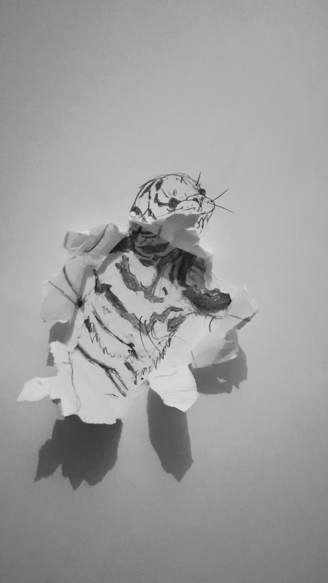 loser2th's tweet photo. Kitty!! https://t.co/n2QqsSuIcI