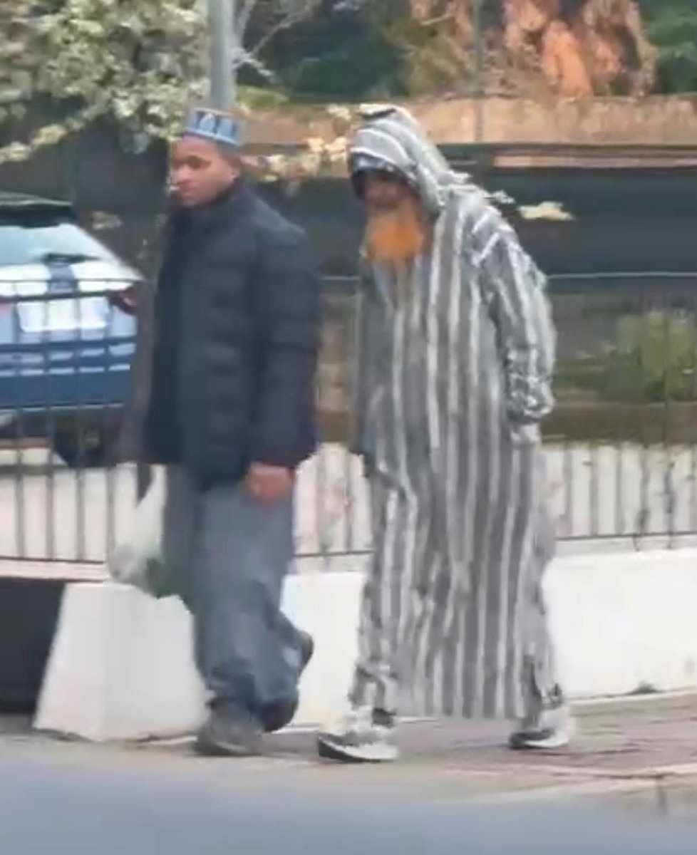 Anna Cisint tweet media