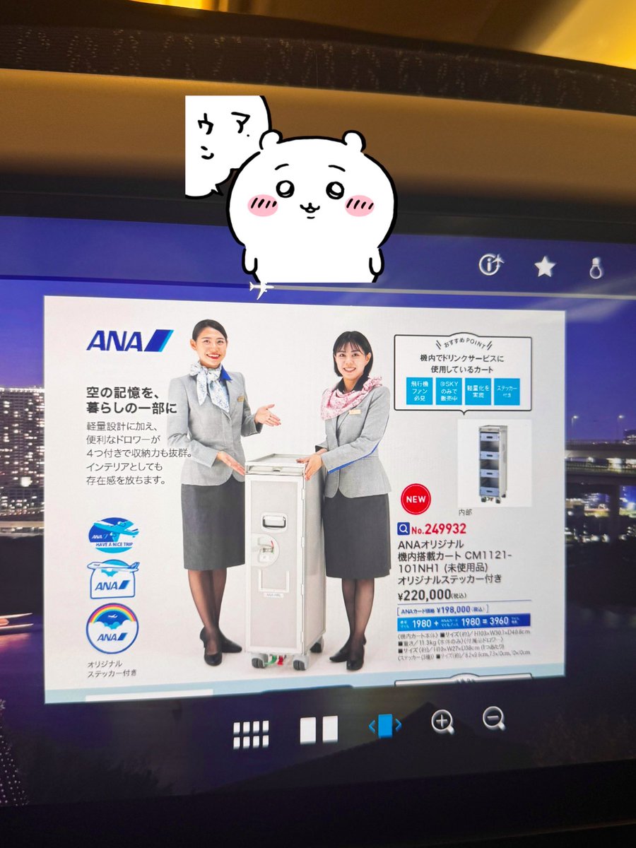 the_Chuo_Line's tweet image. これ買ったら嫁喜ぶかな、、🐰