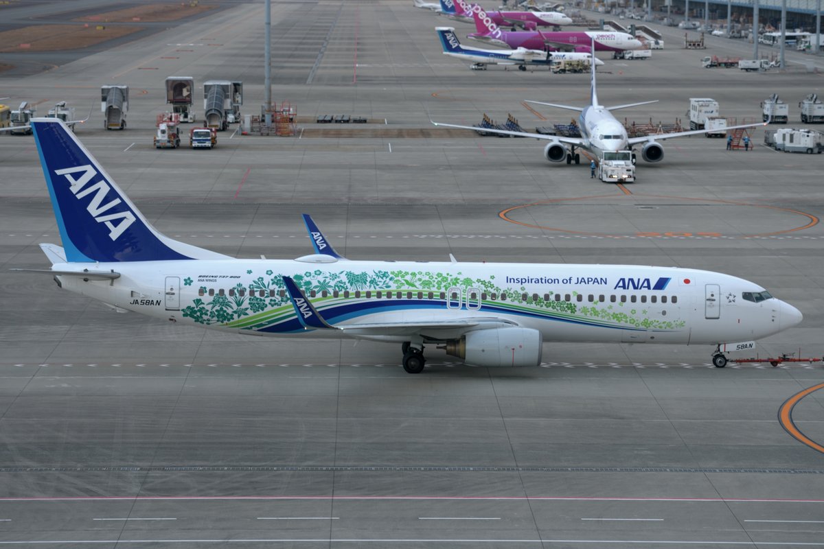 駐機場からデッキ前を経由してトーイングされて来たANAふるさと