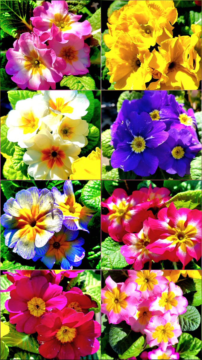 ちゅん (@aebBN6iwx957557) / Posts / X