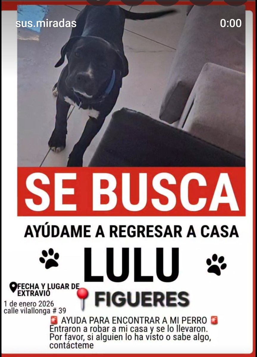 🆘🆘¡¡ATENCIÓN!!🆘🆘
LULU ha sido secuestrado en #Figueres #Girona el dia 1 en la C/ Vilallonga 39. Entraron a robar en la vivienda y se lo llevaron.
Si tenéis alguna pista contactar:
📞 632 618 517
Máxima difusión
📣📣📣
#xarxagironaperduts
#FemXarxa