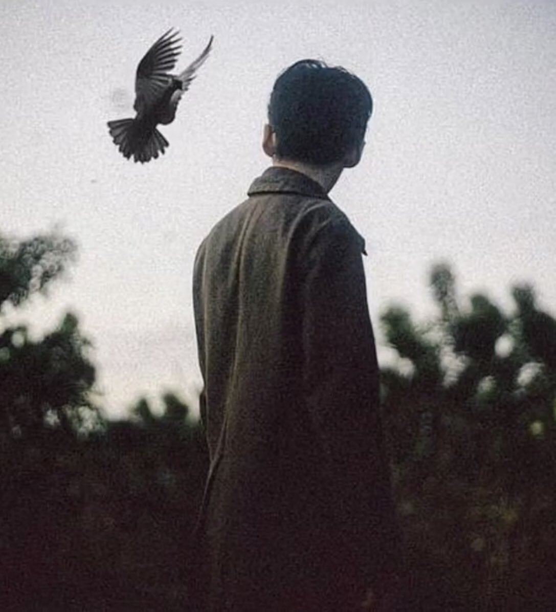 “bazen her şey, doğru bir sebep için 
   ters gider.

   sakin ol…”
   .