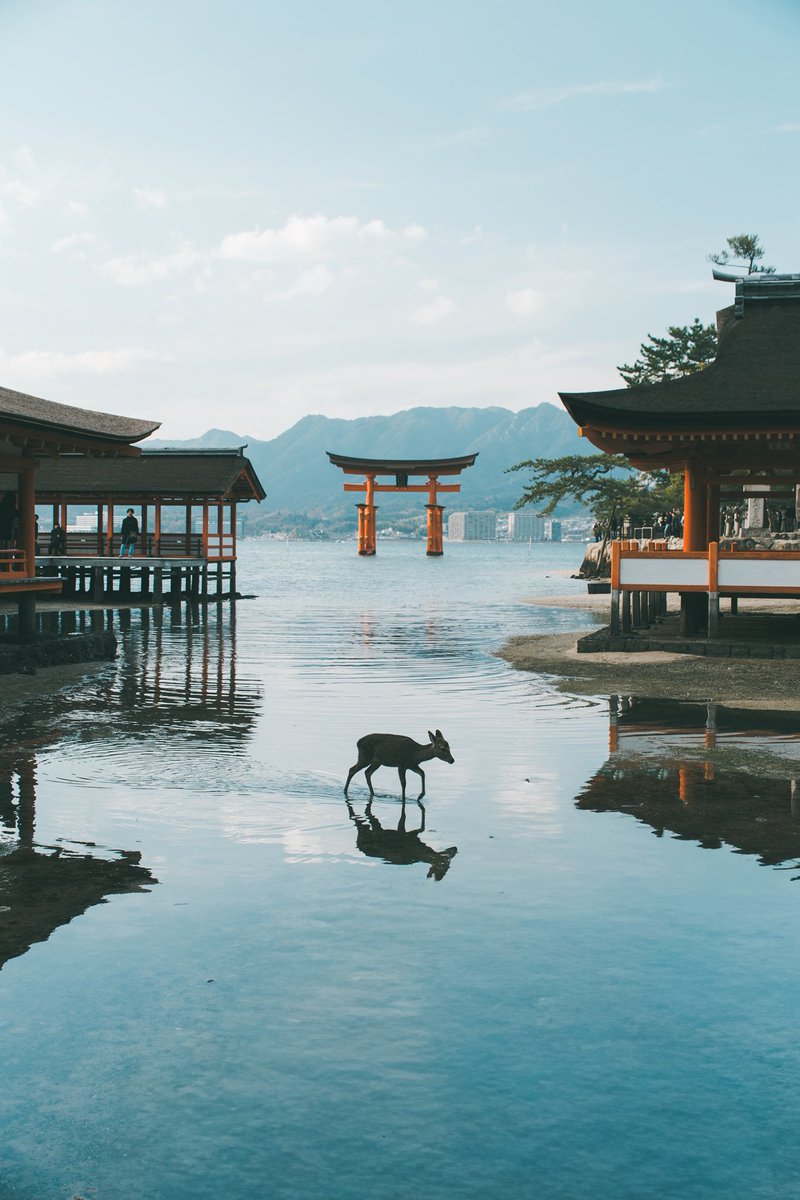 満ち潮時の厳島神社.