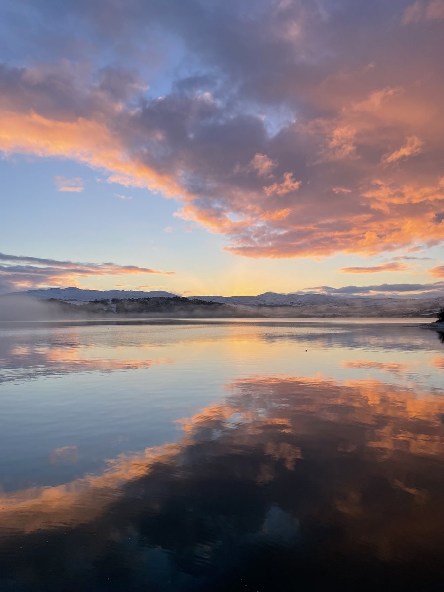 Danny Cullinane tweet media