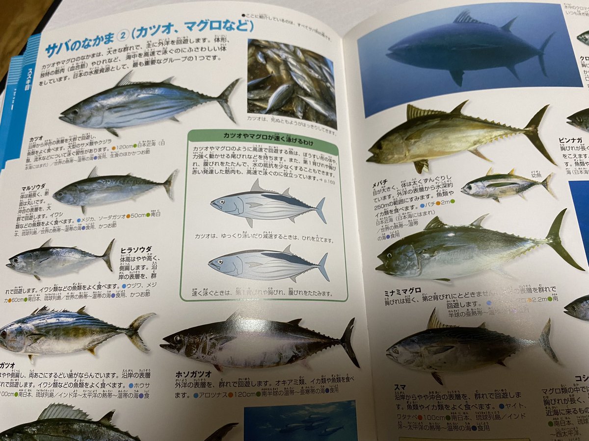 実家にあった図鑑、今見るとこれで2100円は安い
