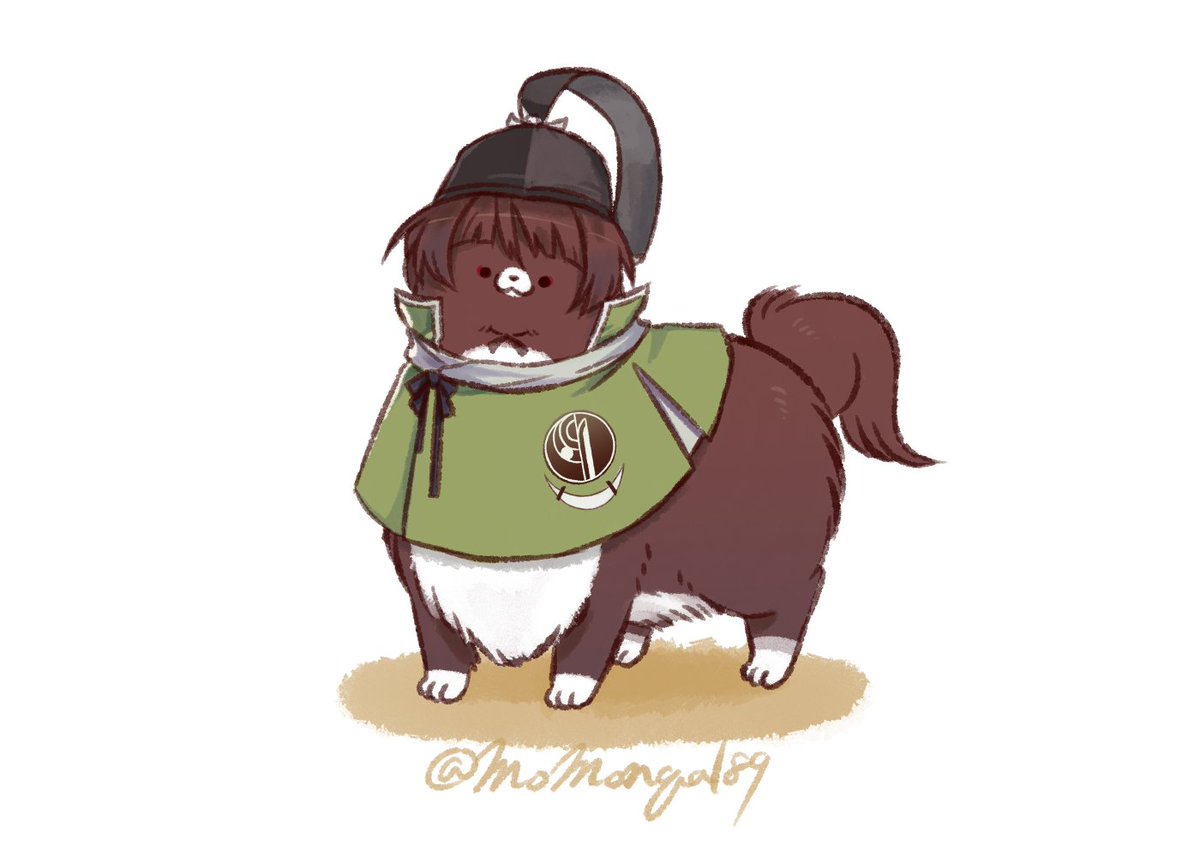 チャチャ丸💚🍁💙 (@chacha_maru719) / Posts / X