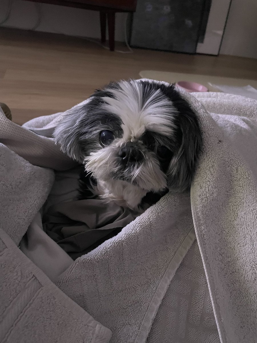 따끈한 수건 건조기 시간