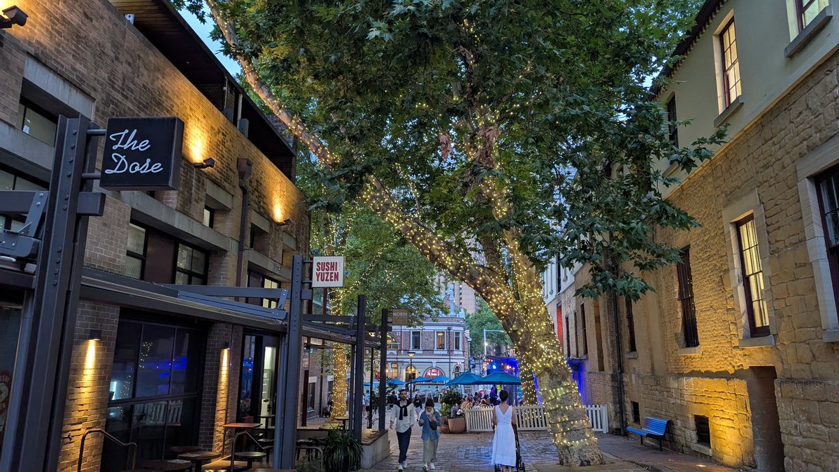 plugger lockett tweet media