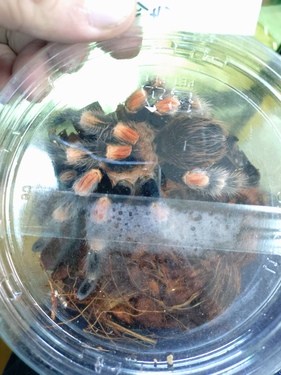 ももれおん😺 (@momoleon2357) / Posts / X