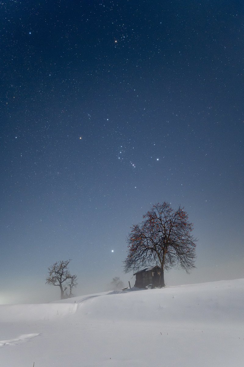 2026年最初のブログは、年末に雪国を訪れて撮影した写真から始めたいと思います。
一晩中霧に悩まされた夜でしたが、霧の晴れ間に撮影できましたのでご覧ください。
starwalker.jugem.jp/?eid=1337