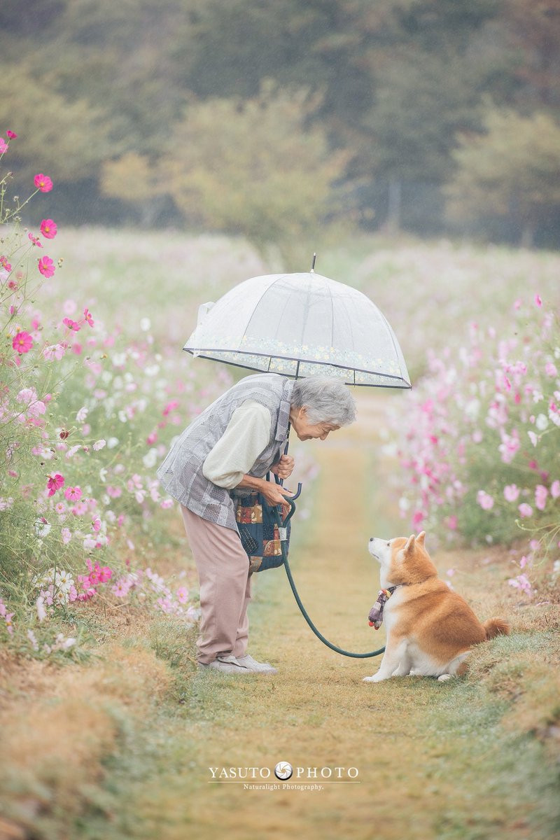 ぶしこ (@x__03c) / Posts / X