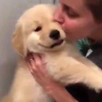 PUPPYJ4KEY's tweet image. 