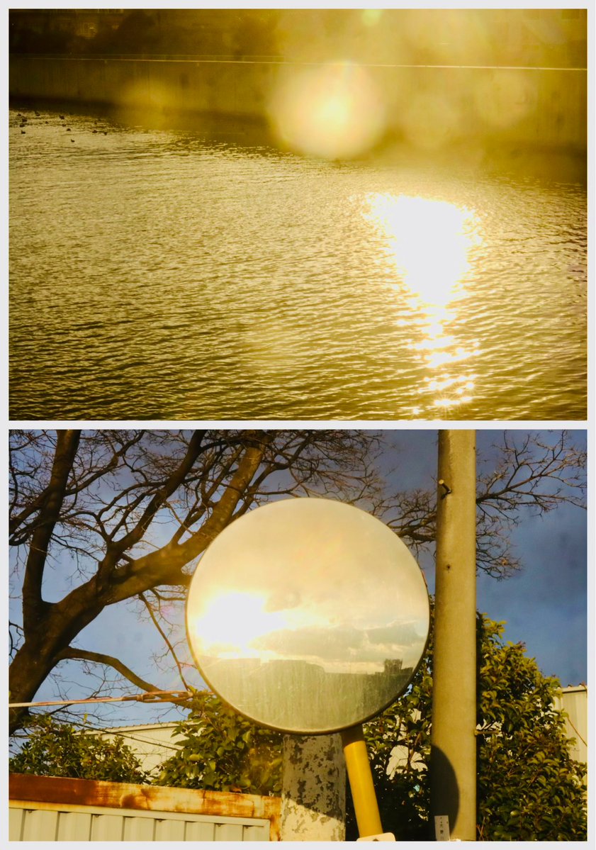 こっちゃん Post by こっちゃん on X: ✨️🌞✨️