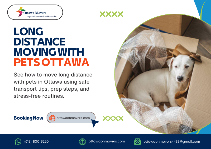 ottawaonmovers's tweet image. Moving long distance from Ottawa? 🐾 Keep your pets safe &amp;amp; calm with vet prep, familiar carriers &amp;amp; a “Pet Sanctuary” at your new home. Let our expert movers handle the heavy lifting! 🚚💼

Read more: metropolitandurham.ca/ottawa-long-di…

#OttawaMove #MovingWithPets #LongDistanceMove