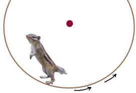 <a href="/wpdlatm10/">유진 Choi</a> 차라리 돌면서, 전기를 만들어라. 
돌은 것들아.