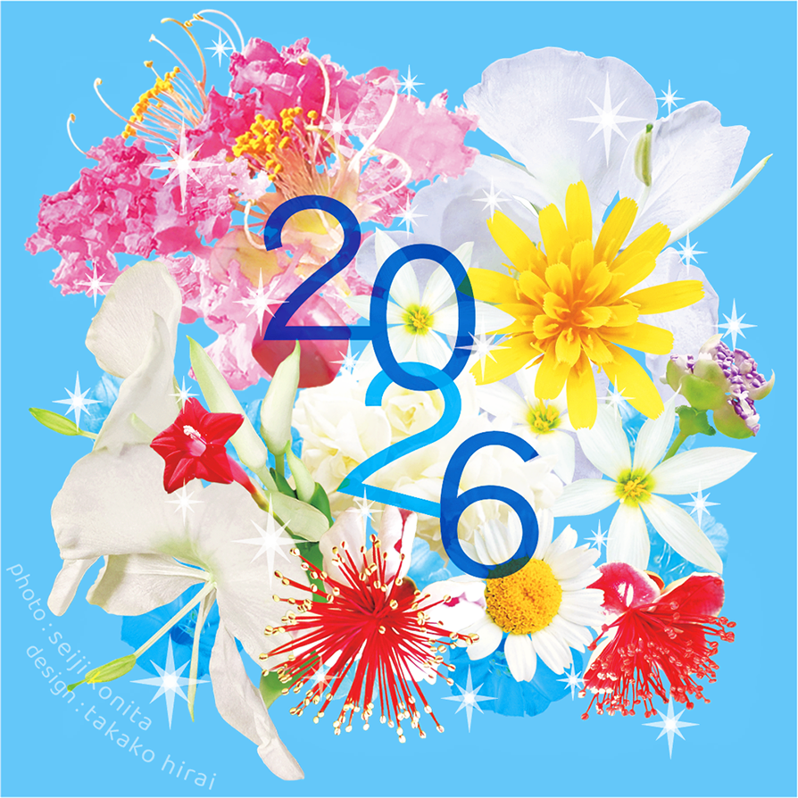 hiraitaTW's tweet photo. 本年も
どうぞよろしくお願いいたします :D:D  

#静岡 
#花 #デザイン  
#イラスト #イラストレーター 
#flower #photography #art #artwork #design #graphicdesign https://t.co/vQAyEnXx7N