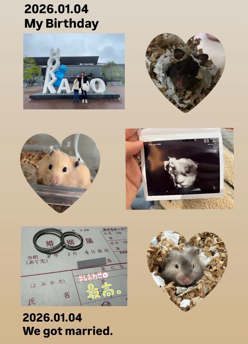 たも🐹🍏(お前まずすぎww) tweet media