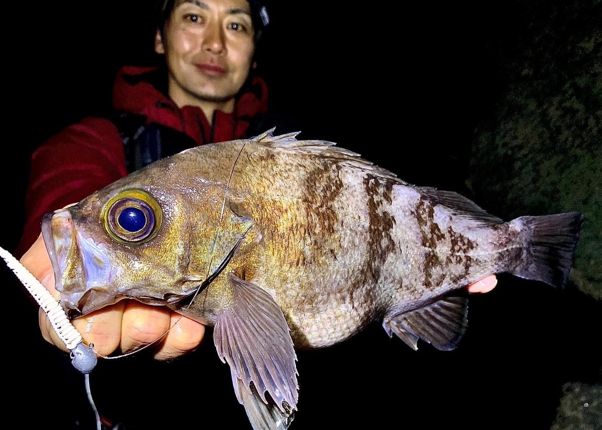 abugarcia_japan