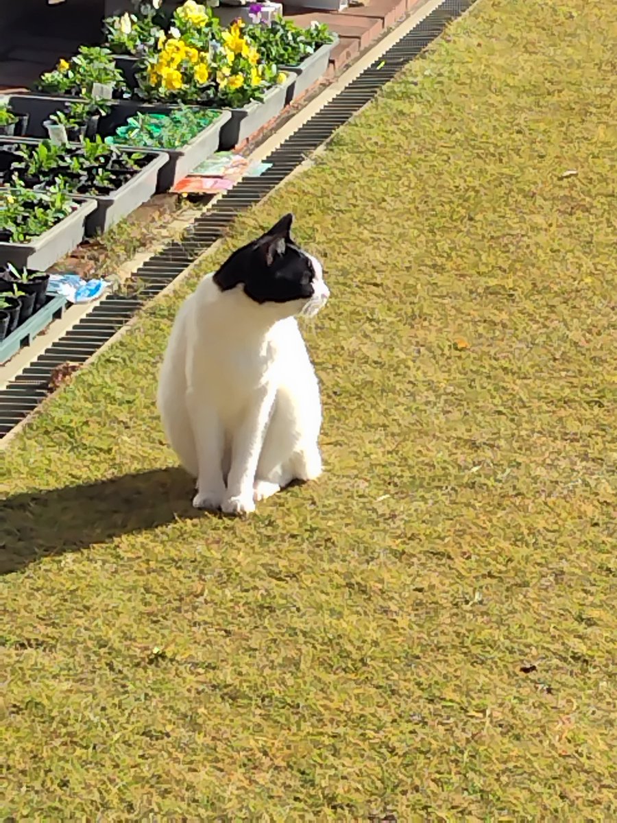 くぅたん様♡ありがとうございます♡ ありがとう☆ベタックマ - LINE スタンプ | LINE STORE